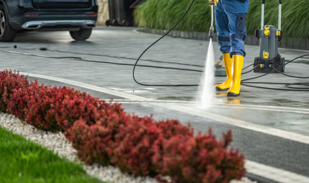 Best Animal Enclosure Cleaning  in Village Green, NY